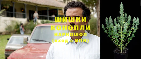 ГАЛЛЮЦИНОГЕННЫЕ ГРИБЫ Володарск