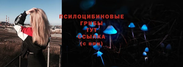 ГАЛЛЮЦИНОГЕННЫЕ ГРИБЫ Володарск
