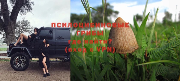 ГАЛЛЮЦИНОГЕННЫЕ ГРИБЫ Володарск