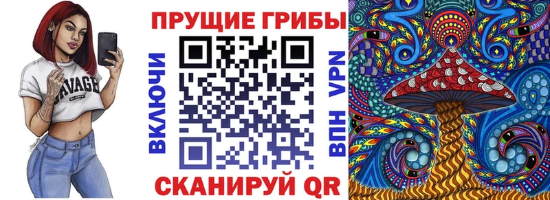 Галлюциногенные грибы GOLDEN TEACHER  Купить где  Покровск 